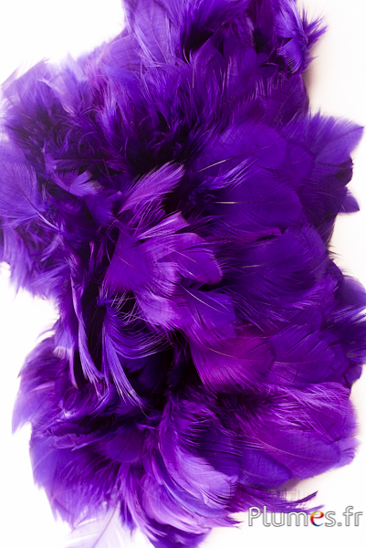 Poule - 5-9 cm - aubergine-fuchsia